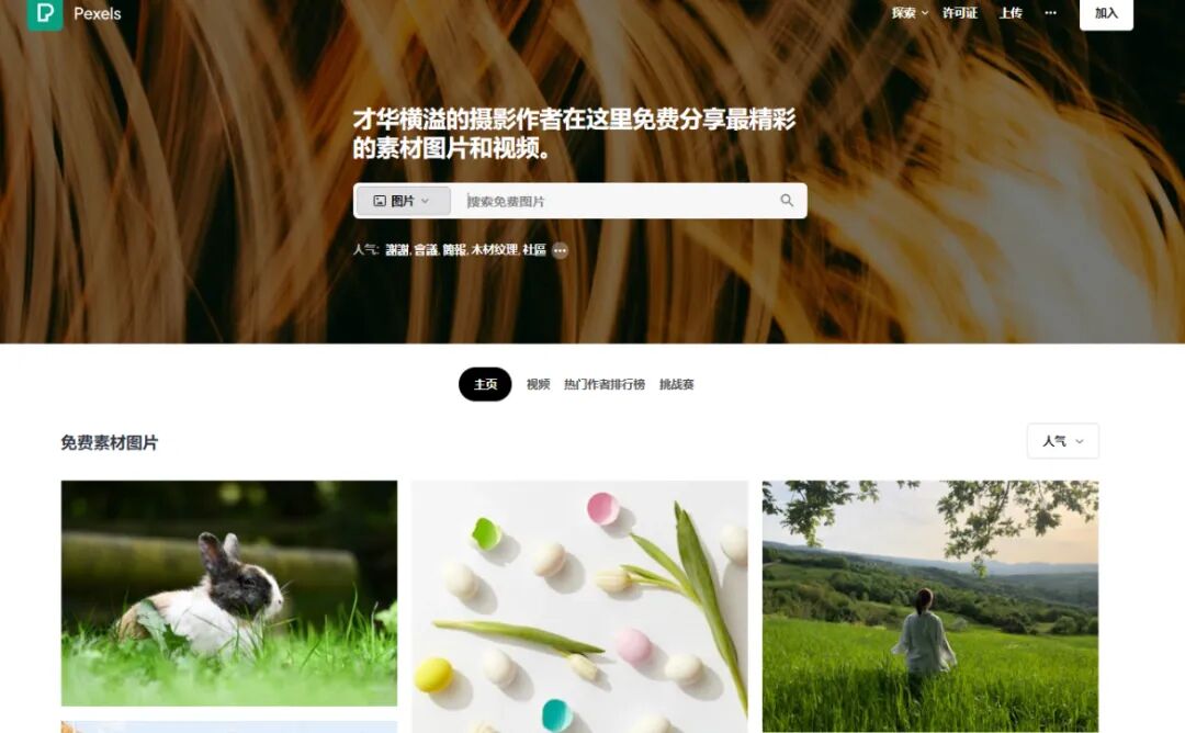 图片